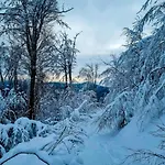 Pod Ostoją Góry Sowie Lomnica (Walbrzych)