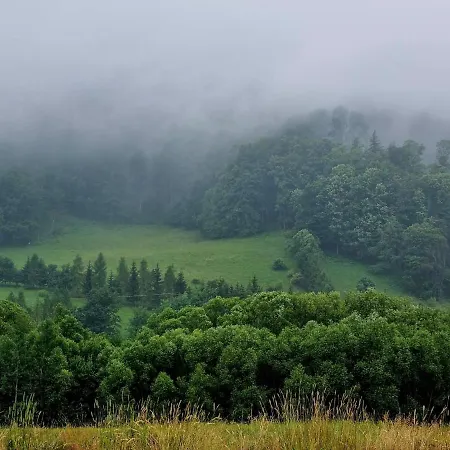 Pod Ostoja Gory Sowie Lomnica (Walbrzych)