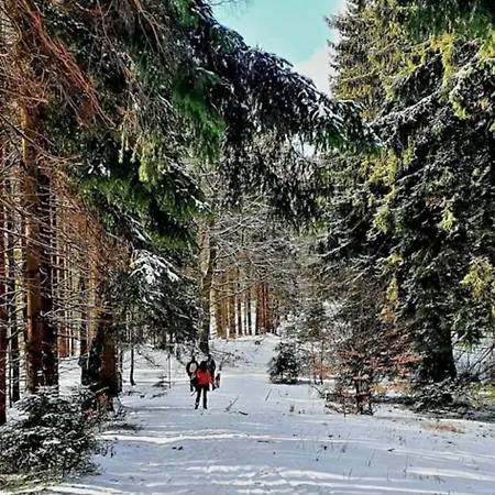 Domek Pod Ostoja