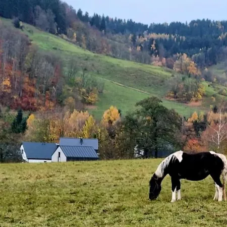 Domek alpejski Pod Ostoja Gory Sowie *