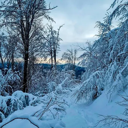 Pod Ostoja Gory Sowie Lomnica (Walbrzych)