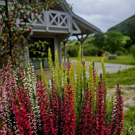 Domek Pod Ostoja Chalet *
