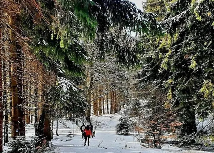 Pod Ostoja Gory Sowie