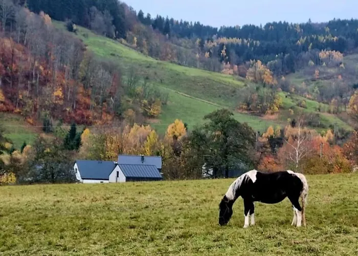 木屋 Pod Ostoja Gory Sowie *